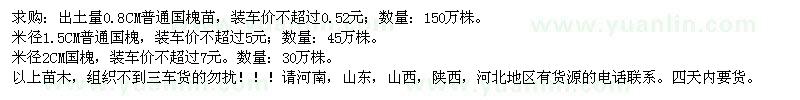 求購普通國(guó)槐苗