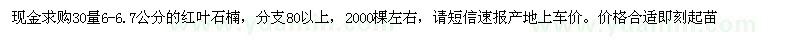 求購30量6-6.7公分的紅葉石楠 
