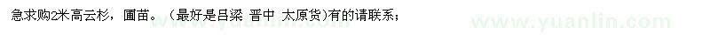 求購2米高云杉，圃苗 