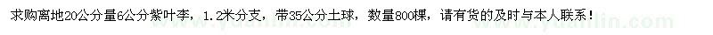 求購(gòu)地徑6公分紫葉李800棵