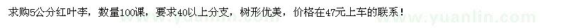 求購(gòu)5公分紅葉李100棵