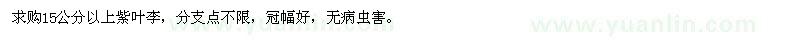 求購(gòu)15公分以上紫葉李