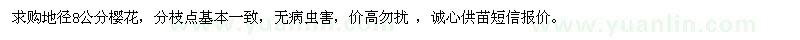 求購地徑8公分櫻花