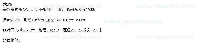 求購垂絲海棠、紫薇、紅葉石楠樹