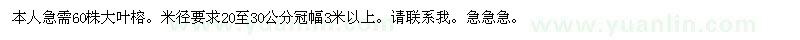 求購大葉榕