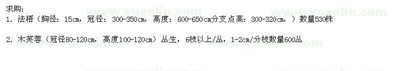 求購法桐、木芙蓉
