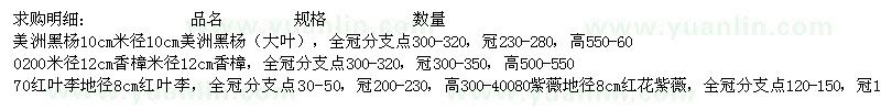 求購美洲黑楊（大葉）、香樟、紅葉李等
