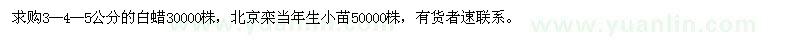 求購白蠟,欒樹小苗