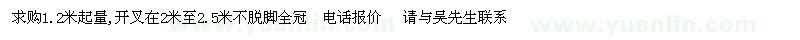 求購18的金絲垂柳