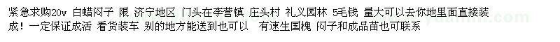 求購(gòu)白蠟悶子