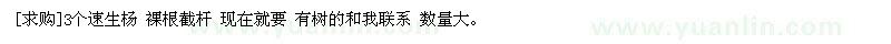 求購(gòu)3個(gè)速生楊 現(xiàn)在就要