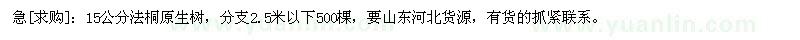 求購15公分法桐原生樹，分支2.5米以下