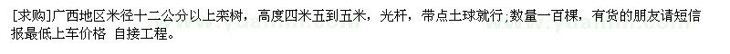 求購廣西地區(qū)米徑十二公分以上欒樹