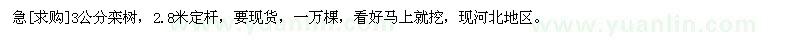 求購(gòu)3公分欒樹，2.8米定桿