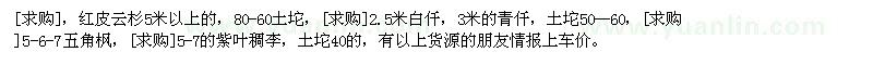 求購紅皮云杉，白仟，青仟，五角楓