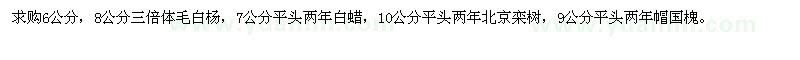 求購毛白楊，白蠟，北欒，國(guó)槐