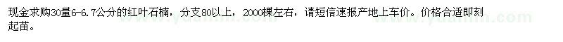 求購30量6-6.7公分的紅葉石楠