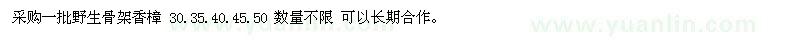 求購野生香樟 