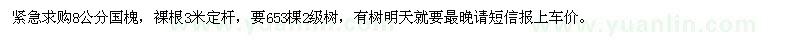 求購8公分國槐
