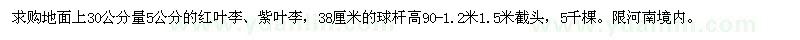 求購5公分的紅葉李、紫葉李