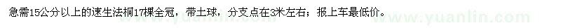 求購(gòu)15公分以上的速生法桐