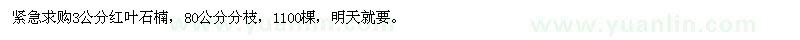 求購(gòu)3公分紅葉石楠