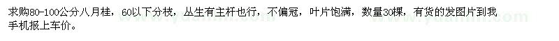 求購80-100公分八月桂