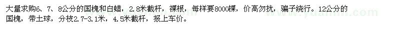 求購國槐,白蠟