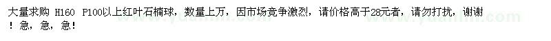 求購H160P100以上紅葉石楠球