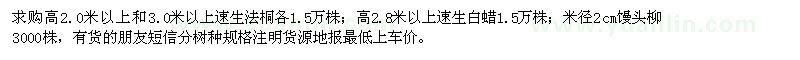 求購速生法桐、速生白蠟、饅頭柳小苗