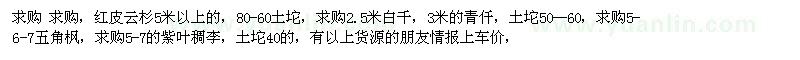 求購紅皮云杉，白千，青仟，五角楓 