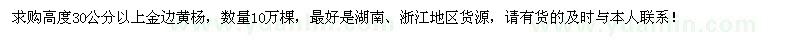 求購(gòu)高度30公分以上金邊黃楊10萬(wàn)棵