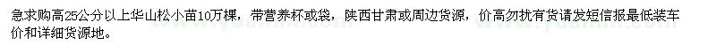 求購高25公分以上華山松小苗10萬棵