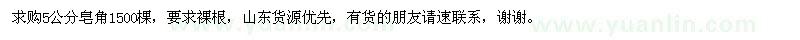 求購5公分皂角1500棵