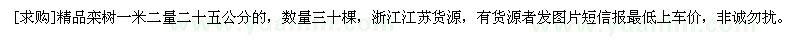 求購精品欒樹一米二量二十五公分的