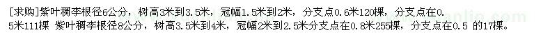 求購紫葉稠李根徑6公分，紫葉稠李根徑8公分