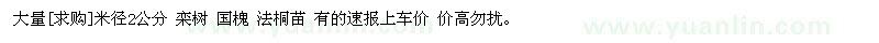 求購(gòu)大量米徑2公分 欒樹(shù) 國(guó)槐 法桐苗
