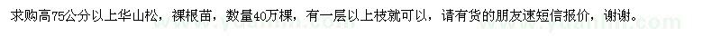 求購(gòu)高75公分以上華山松40萬(wàn)棵