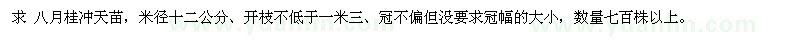 求購八月桂沖天苗，米徑十二公分