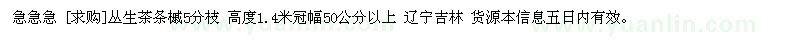 求購(gòu)急 叢生茶條槭5分枝