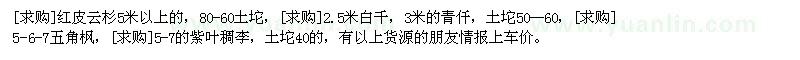 求購(gòu)紅皮云杉，白仟，五角楓