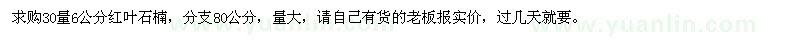 求購30量6公分紅葉石楠
