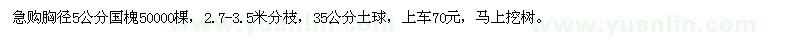 求購胸徑5公分國槐50000棵