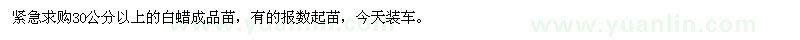 求購(gòu)30公分以上的白蠟成品苗