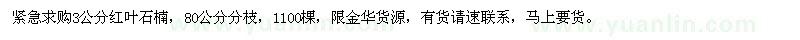 求購3公分紅葉石楠
