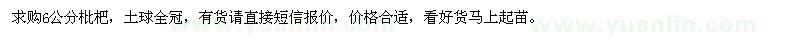 求購6公分枇杷
