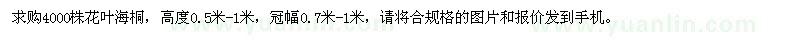 求購4000株花葉海桐