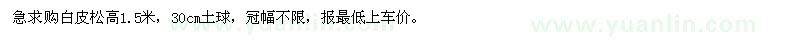 求購白皮松高1.5米