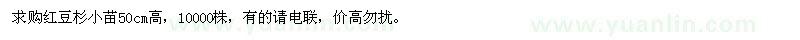 求購紅豆杉小苗