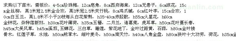 求購4-5cm珍珠梅，12cm皂角，8cm西府海棠等